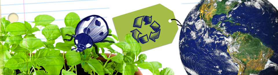 Sobre la ecología — Arz. Anthony Fisher OP Sobre la ecología — Arz. Anthony Fisher OP